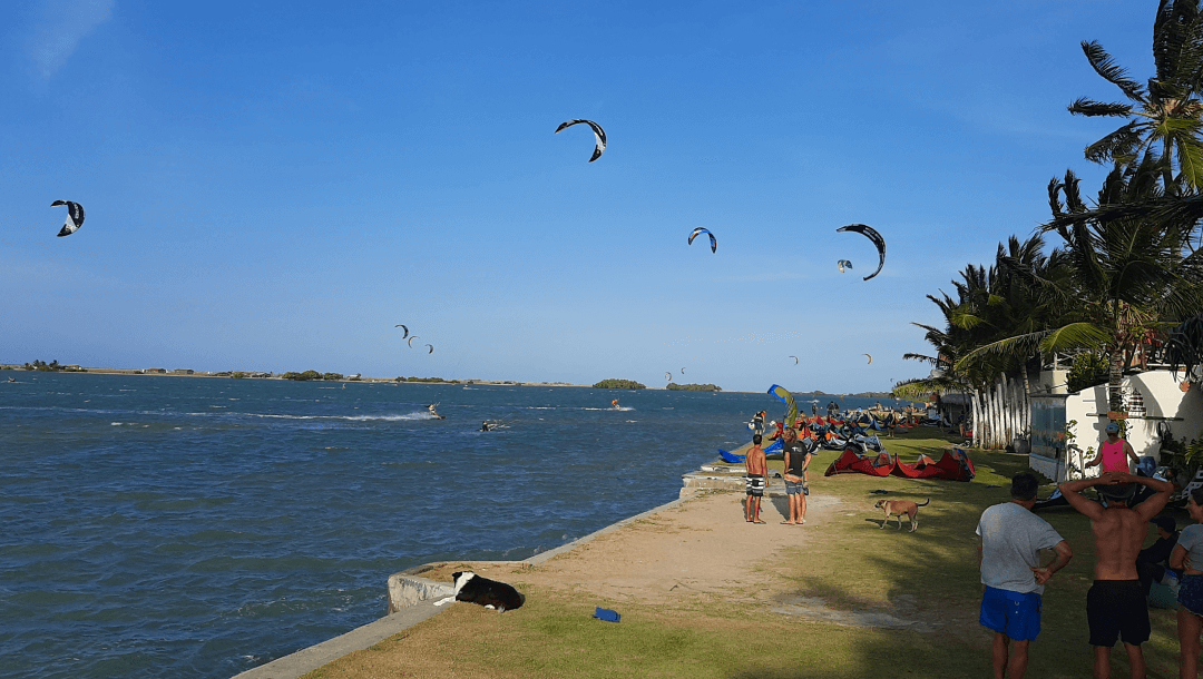 Uma conexão com a natureza.